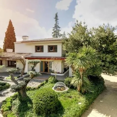 Rentitspain Grand Luxury Villa Piscina & Jacuzzi Granada Albolote Exterior photo